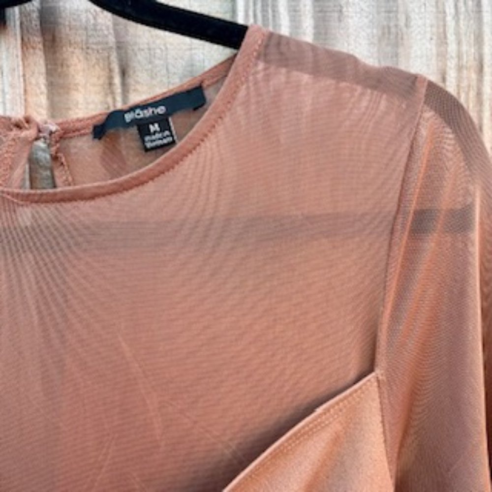 Blashe Mesh Long Sleeve Jumpsuit/Medium/Tan View 4